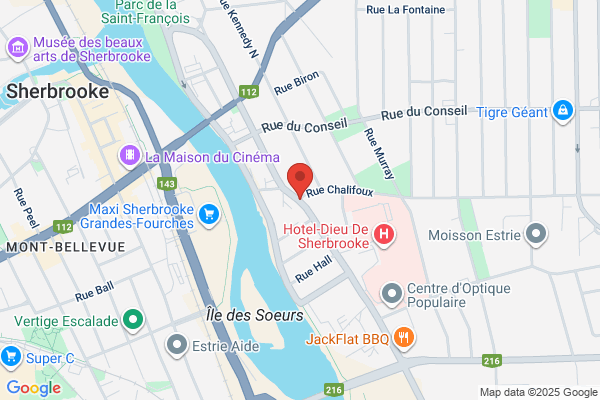 Paris institute global