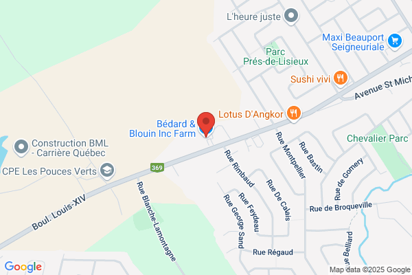 B & B Au Framboisier