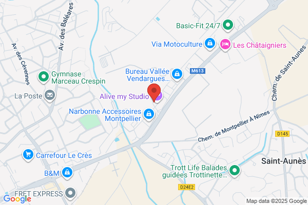 Sage Inc (Systemes Avances De Gestion D'entreprises)