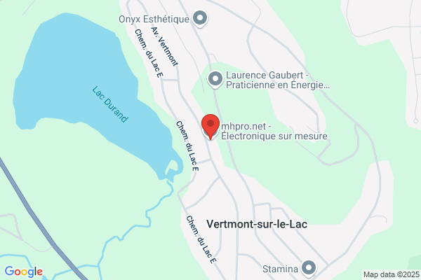 Systeme Microport