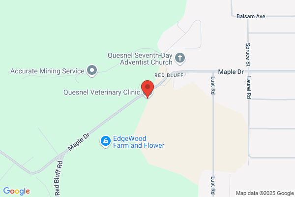 Quesnel Veterinary Clinic