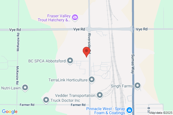 Quadra Logging Ltd