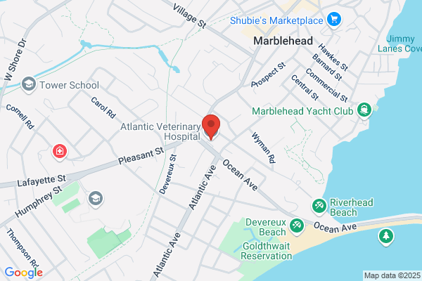 Atlantic Veterinary Hospital