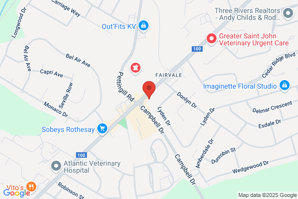 Benjamin Moore Paints