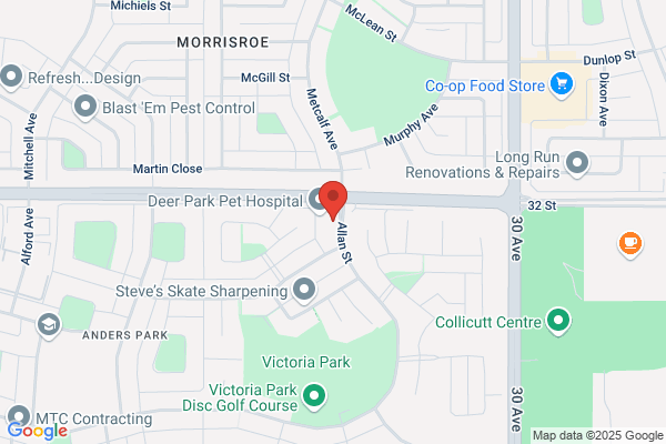 Anders Victoria Family Chiropractic