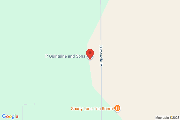 P Quintaine & Son Ltd