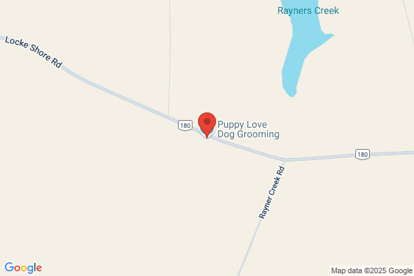 Puppy Love Dog Grooming