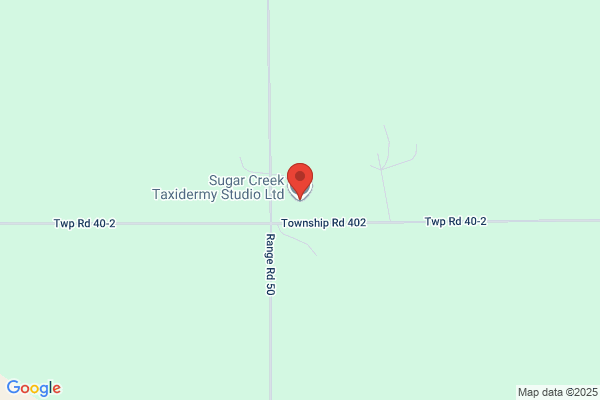 Sugar Creek Taxidermy Studio Ltd