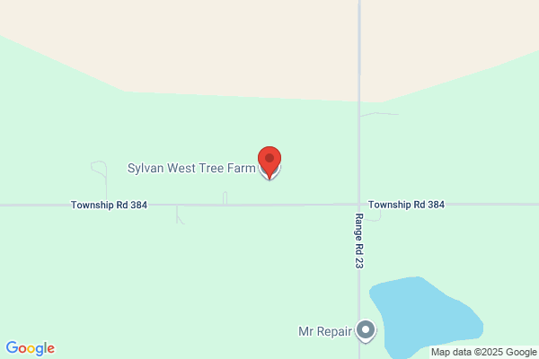 Sylvan West Tree Farm