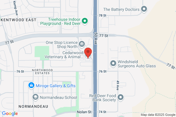 Animal Emergency Hospital