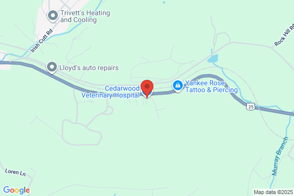 Cedarwood Veterinary Hospital