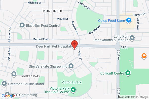 Deer Park Pet Hospital