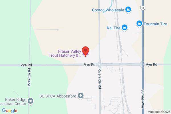 Fraser Trout Farm & Hatchery