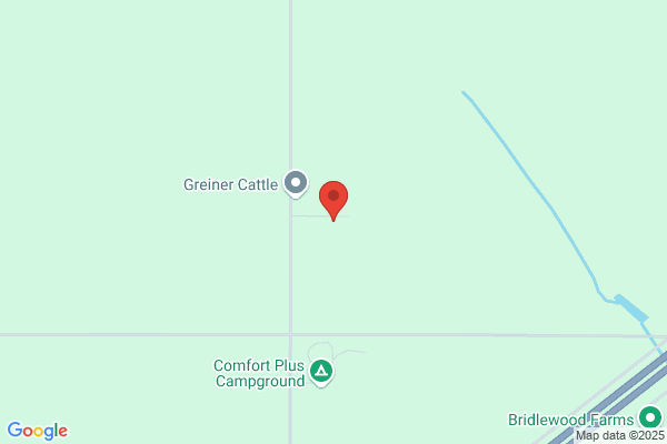 Greiner & Sons Livestock Ltd
