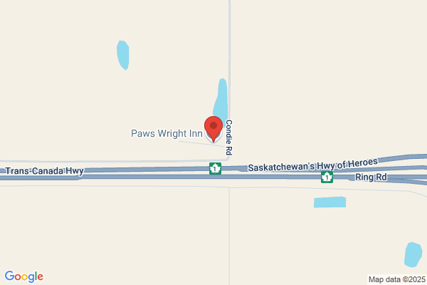 Expressway Kennels
