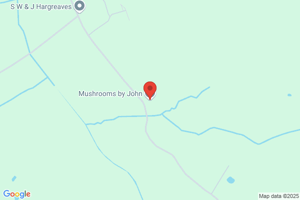 Joe Chung's Mushroom Ltd