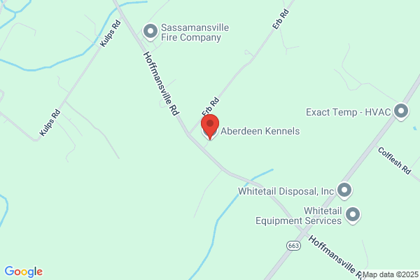 Aberdeen Kennels & Cattery