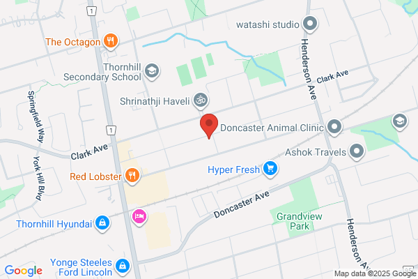 Car Detailing Thornhill