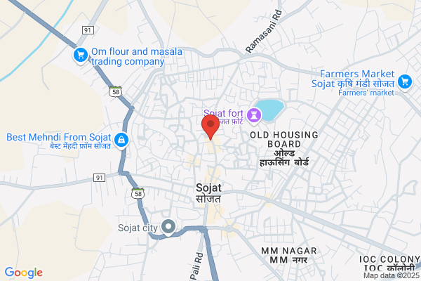 Sojat Electric Ltd
