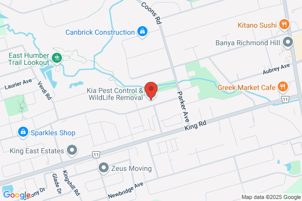 A Gta Wildlife Removal & Pest Control
