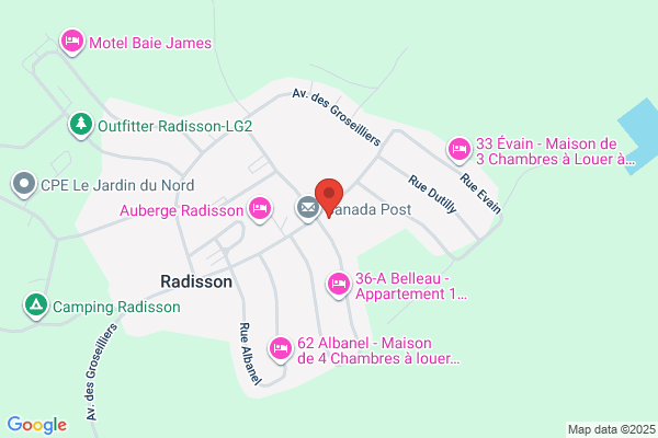 Taxi Radisson