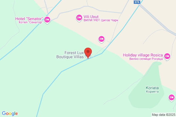 Boutique Lucie Forest