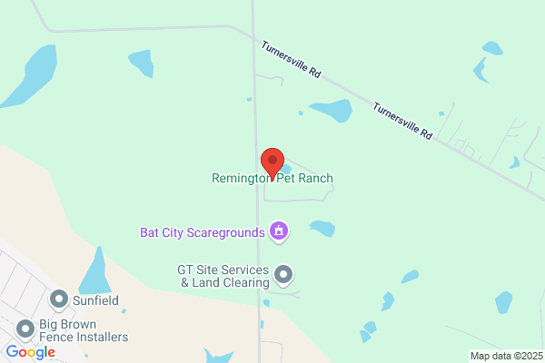 Remington Pet Sitter