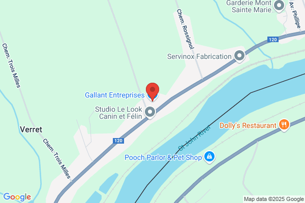 Gallant Enterprise
