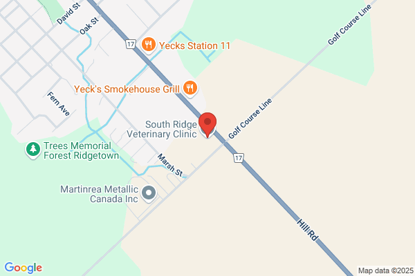 South Ridge Veterinary Clinic
