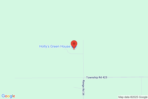 Holly's Green House Ltd