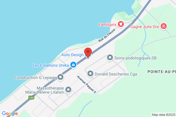 Auto-Esthetique
