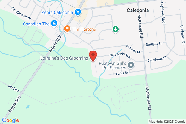 Lorraine Pet Grooming