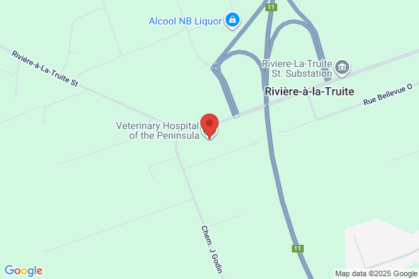 Hôpital Vétérinaire de la Péninsule