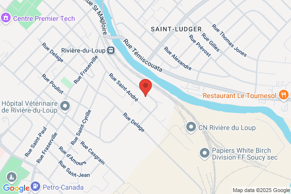 Lemieux Nolet Inc, Syndics Faillites