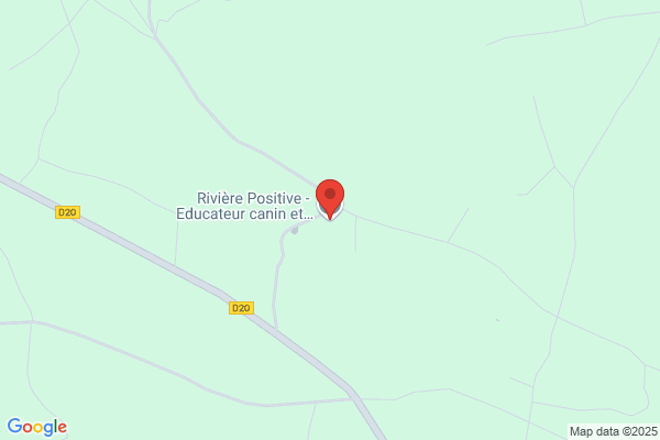 Paw-sitive comportementaliste et educateur canin