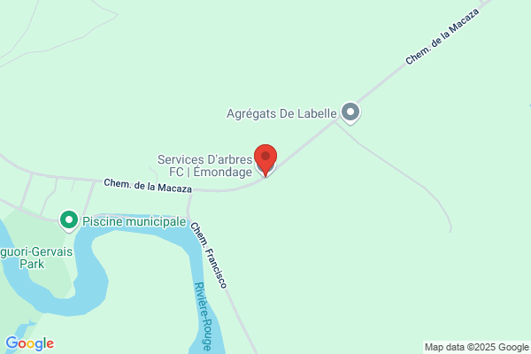 Services D'arbres FC