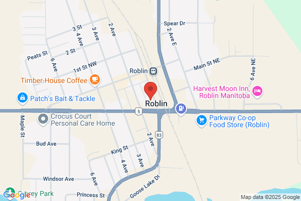 Roblin Auto Body