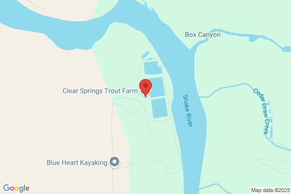 Clear Springs Aqua Farms