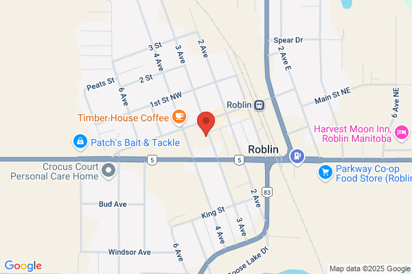 Roblin Tech Services