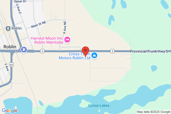 Roblin Veterinary Services