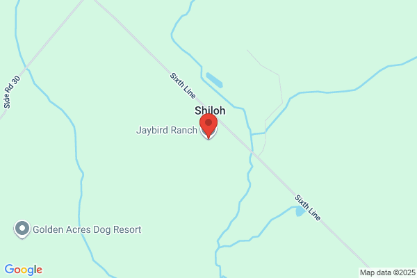 Jaybird Ranch