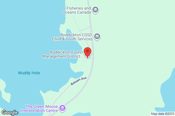 Forest Resources, District Offices, Roddickton