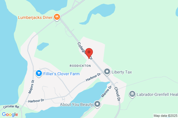 Inspections, Roddickton