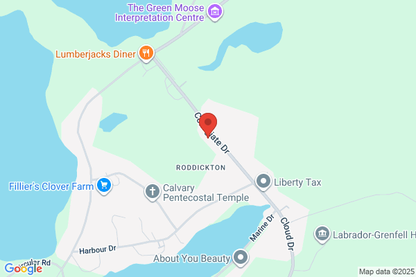 Roddickton Pharmacy Ltd