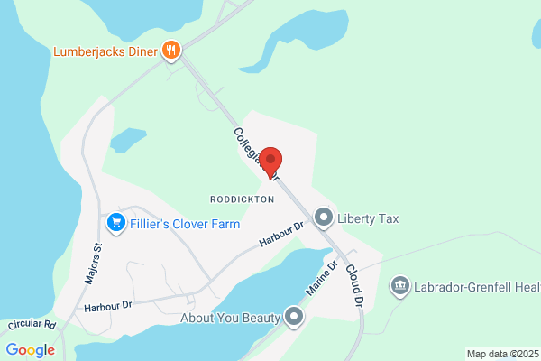 Town Council Roddickton, Fire Alarm