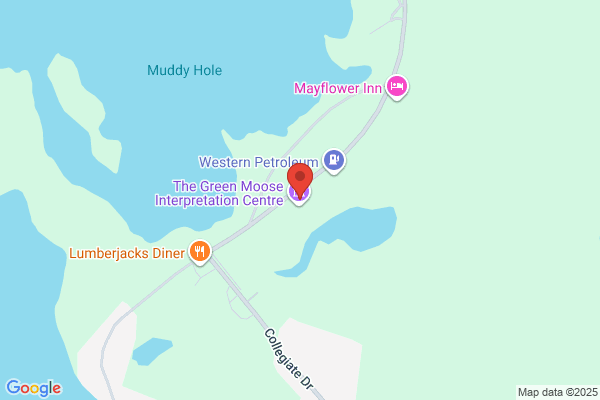 Town Council Roddickton, Recreation Centre