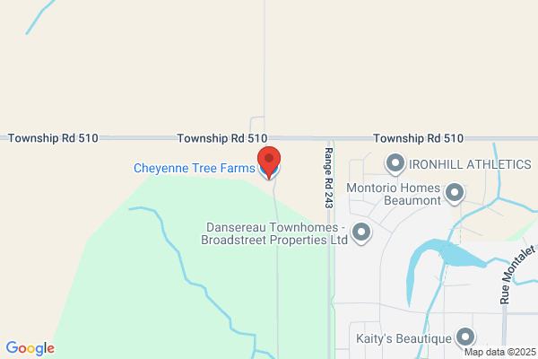 Cheyenne Tree Farms Ltd