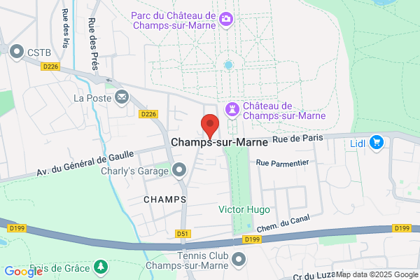 Fleurs Des Champs