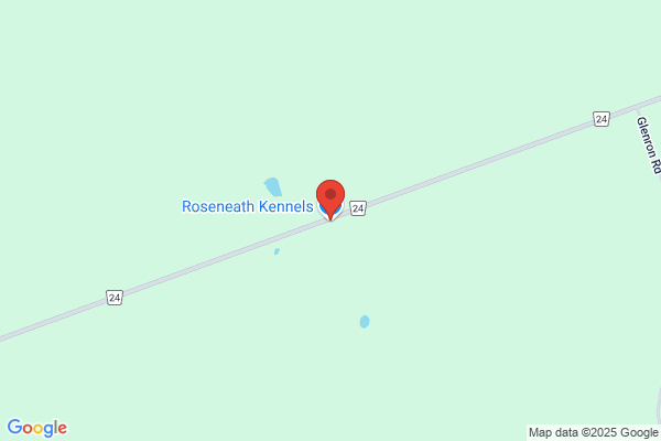 Roseneath Kennels