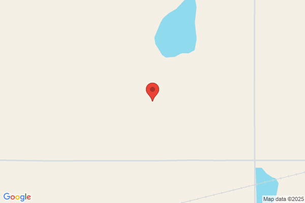 Tree Dimensional
